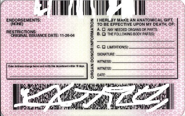 pdf blank drivers license template